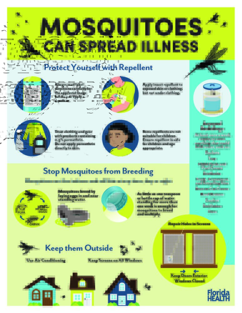English Mosquito Prevention infographic